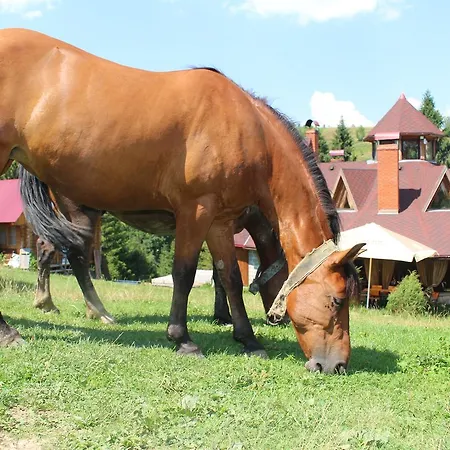 Hotel Goryanyn Pilipets